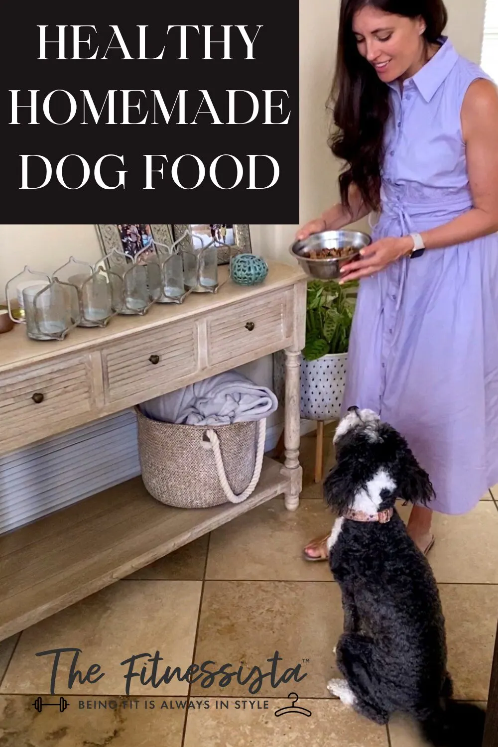 Healthy Homemade Dog Food Recipe - The Fitnessista